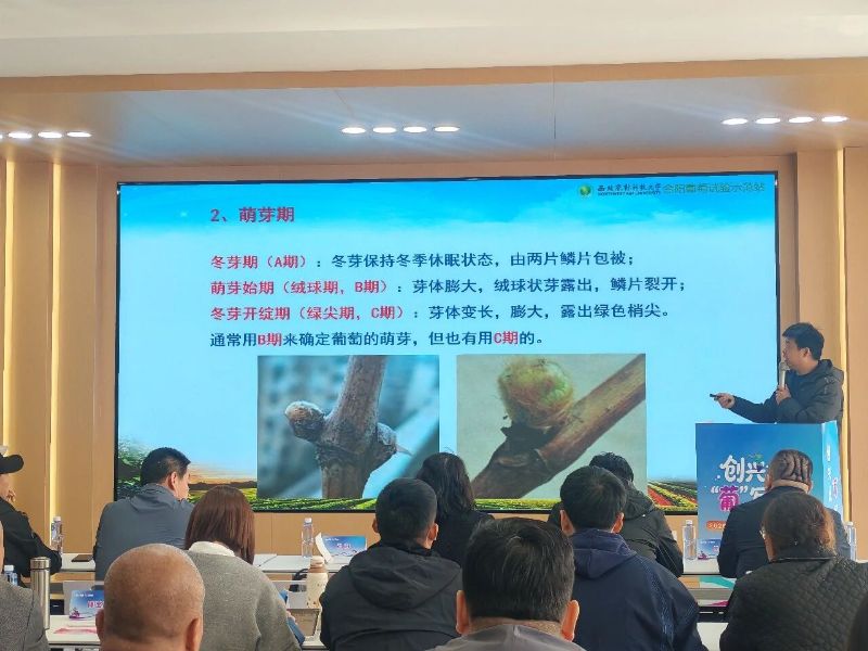 微信图片_2026-03-31_114848_057