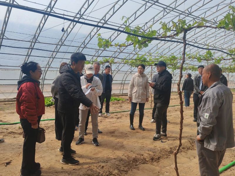 微信图片_2026-03-31_114854_741