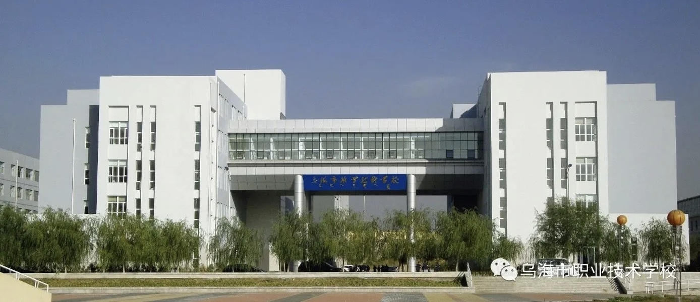 图片8