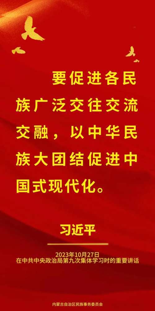 图片12