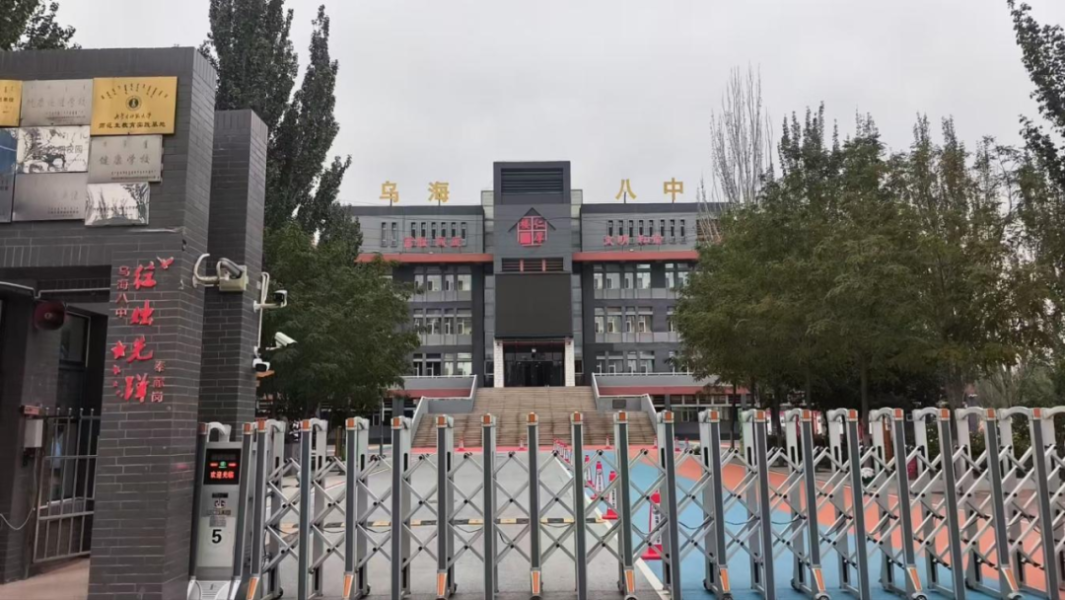 图片6